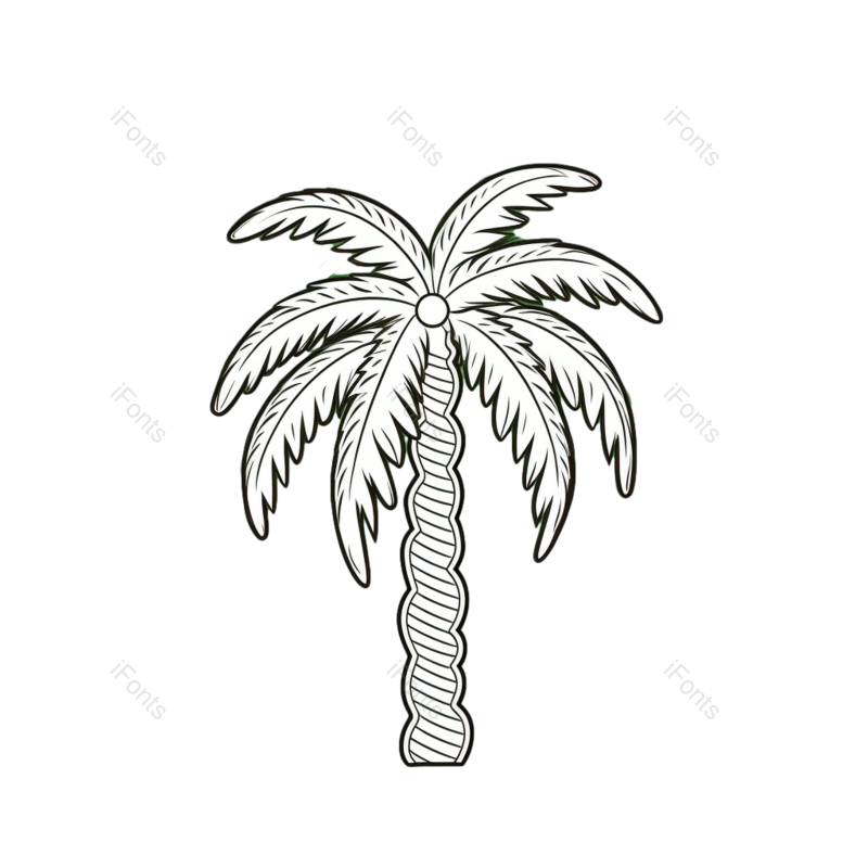 夏天图片,自然元素,森林PNG,绿色免抠素材